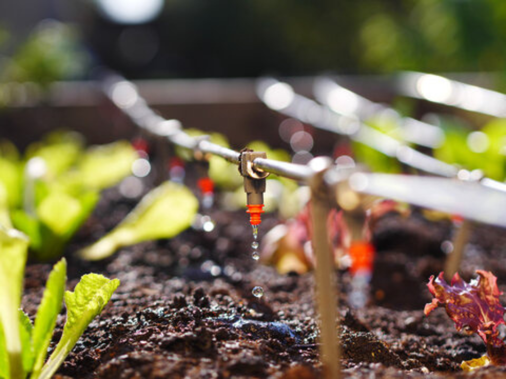 Sustainable Solutions